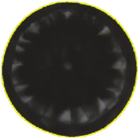 Desvio de circularidade